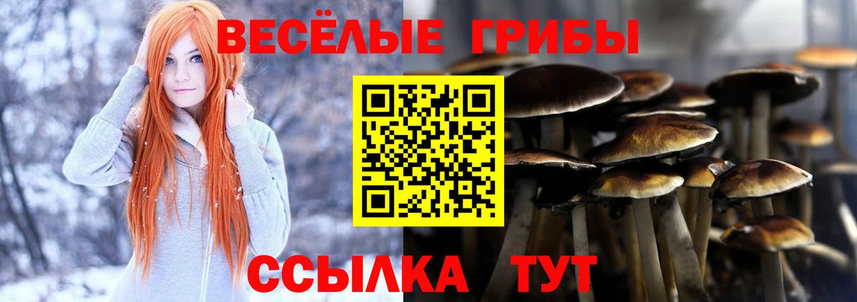 Псилоцибиновые грибы GOLDEN TEACHER Сургут